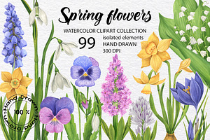 Watercolor Wild Spring Flowers Set