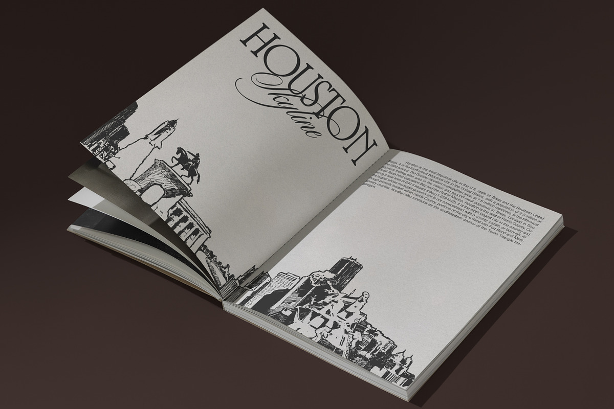 Hand-Drawn USA City Skylines, a Work Illustration by TheMountBirdStudio (Photo 11 of 11)