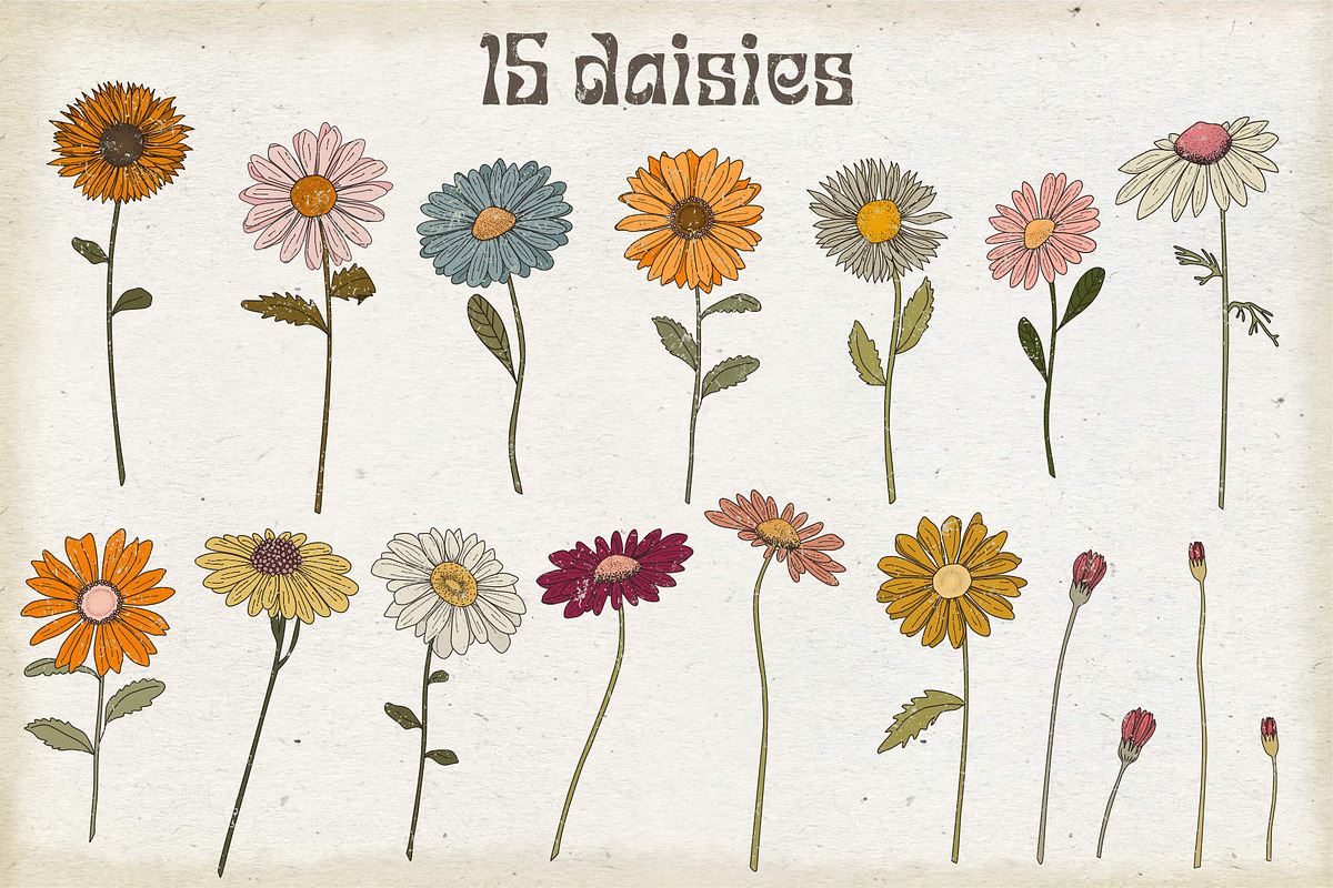 Set of SVG & PNG retro Daisies, a Decorative Illustration by marie dricot (Photo 2 of 10)