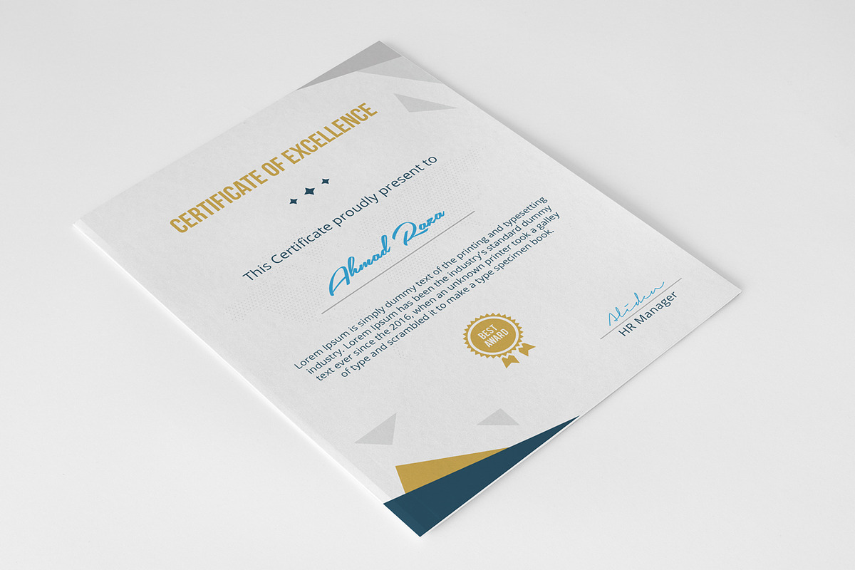Multipurpose Certificate Template, a Stationery Template by NasirGrfx (Photo 5 of 5)