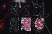 Noir Botanica Scanographs, a Texture Graphic by House of Delfina (Thumbnail 10 of 11)
