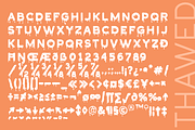 Thawed, a Sans Serif Font by Larin Type Co. (Thumbnail 10 of 10)
