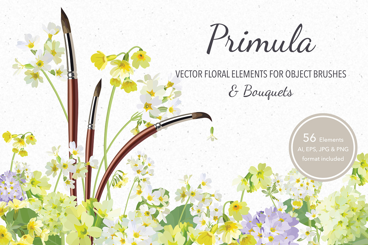 Vector object brushes. Primula., a Brush Add-On by Peolla (Photo 1 of 17)