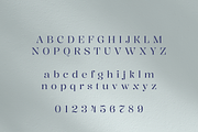 Kiaro Serif | Font Family, a Serif Font by Creative Foundry (Thumbnail 7 of 8)