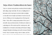 Nouvelle Edition, a Serif Font by Prestige Artsy Studio (Thumbnail 10 of 10)