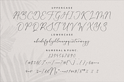 Beatrice Clorophil Chic Calligraphy, a Script Font by Storytype Studio (Thumbnail 13 of 15)