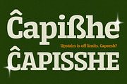 Serifnova, a Serif Font by graphicook (Thumbnail 9 of 10)