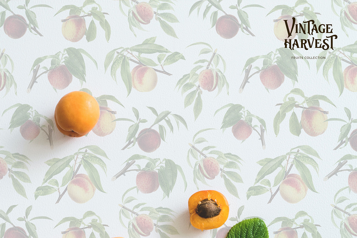 Vintage harvest fruits collection, a Pattern Graphic by Beauty Drops (Photo 4 of 9)