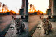 Soft | Photoshop Actions, an Action Add-On by Filterlate (Thumbnail 4 of 7)