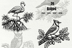Vintage Bird Line Art Graphics, an Animal Illustration by DENIDigitalArtSudio