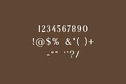 Undergrow Elegant Serif Font, a Serif Font by UICreative (Thumbnail 12 of 13)