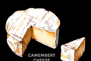 BRIE CAMEMBERT CHEESE WATERCOLOR, a Food Illustration by wedraw (Thumbnail 2 of 7)