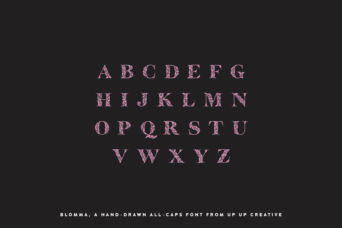 Blomma Hand-Drawn Display Font, a Serif Font by Up Up Creative (Photo 5 of 12)