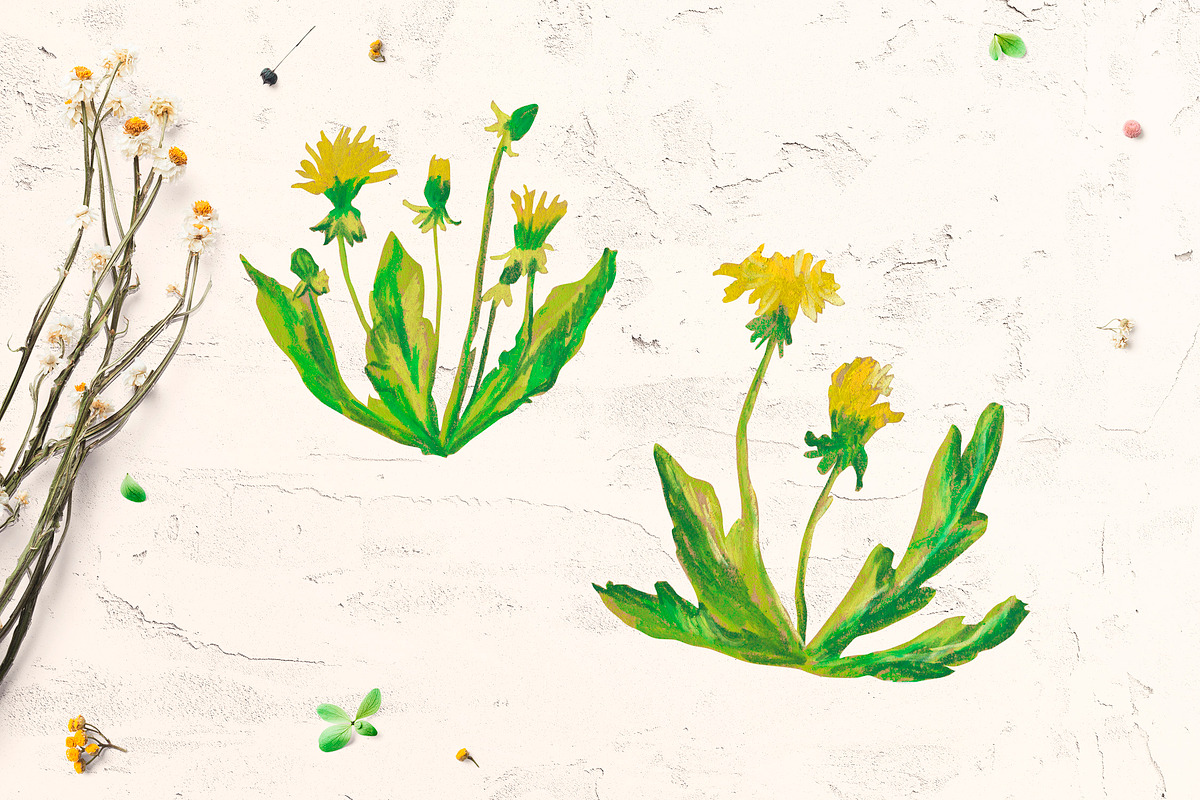 Cute Crayon Child Dandelion Flower, a Healthcare Illustration by Lucyinyourheart (Photo 4 of 6)
