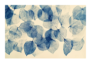 Blik Co. Organic Leaf Patterns, a Texture Illustration by milatovar (Thumbnail 22 of 24)