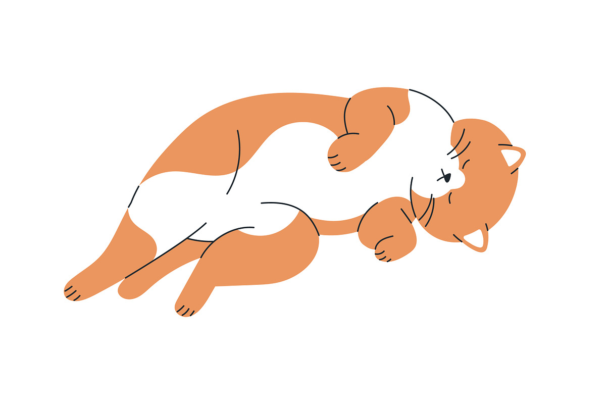 Cute, funny, comic cats. Cartoon set, an Animal Illustration by Good Studio (Photo 4 of 20)