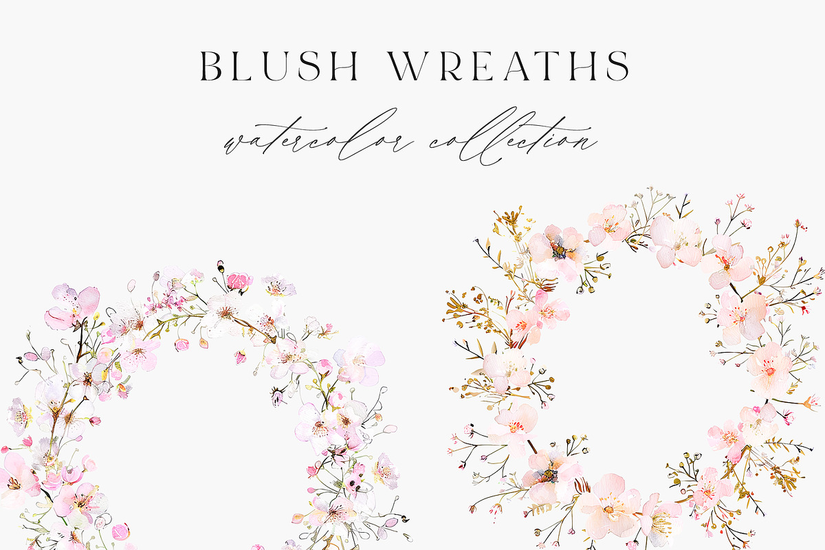 New! Wild Flowers Edition, a Seasonal Illustration by Isabelle Salem (Photo 10 of 155)