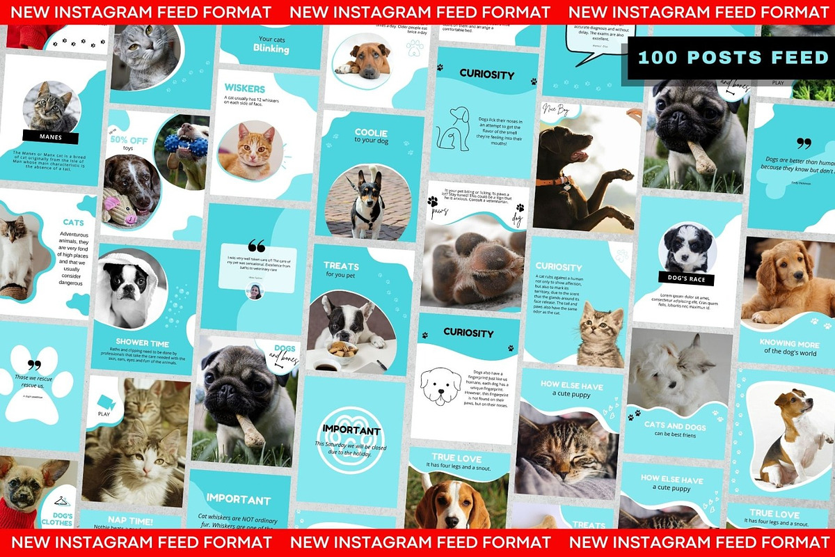 Pet Shop & Pet Care Social Media Kit, a Social Media Template by Gomes Web (Photo 2 of 5)