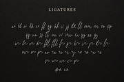 Safielle – Luxury Signature Script, a Script Font by chekart (Thumbnail 3 of 12)