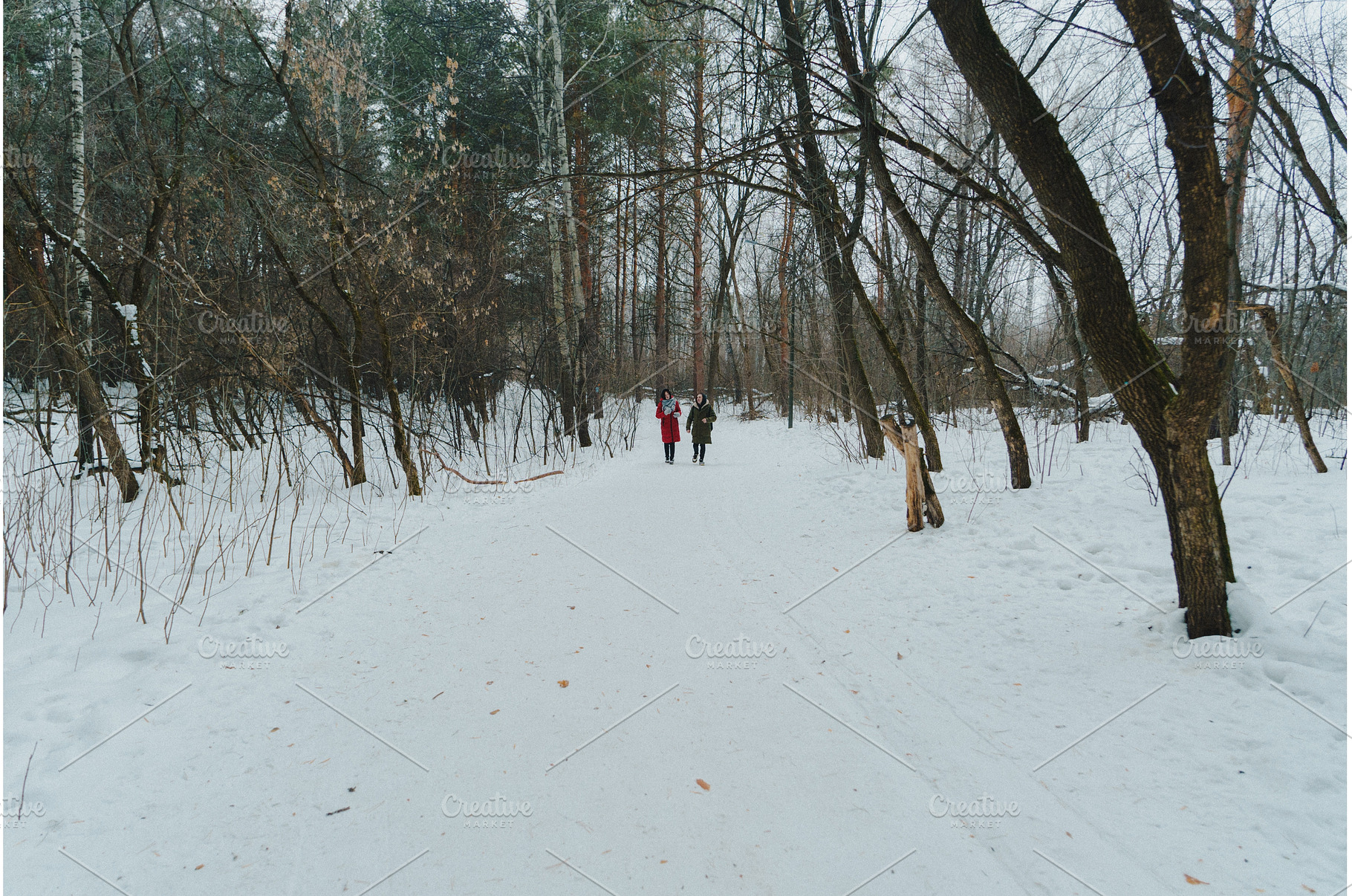 Friends enjoying a winter walk in a, a Beauty & Fashion Photo by darksoul72