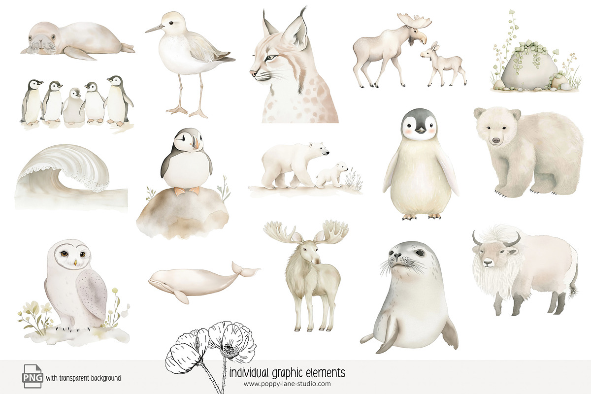 100 polar animal clip art, an Animal Illustration by Poppy Lane Studio (Photo 6 of 12)