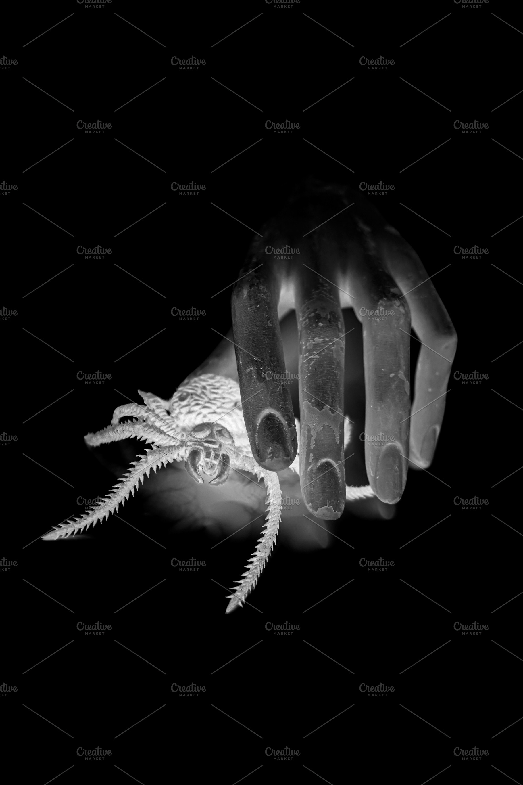 spooky old doll hand holding spider, an Abstract Photo by sirylok