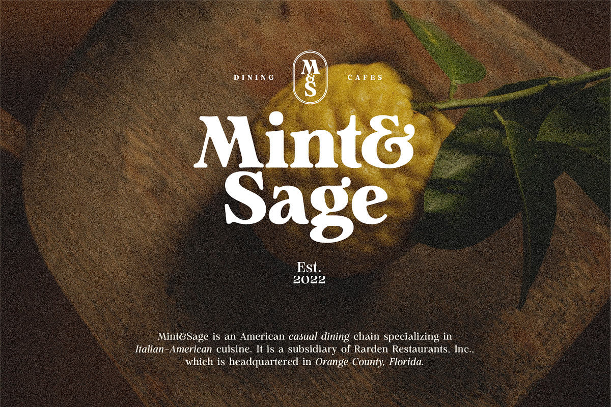 Analogue - Humanist Retro Serif, a Serif Font by Harmonais Visual (Photo 11 of 29)