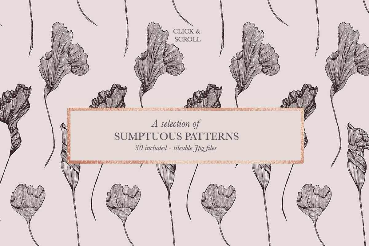 Wild Bouquet Wedding Illustrations, an Illustration by Laras Wonderland (Photo 12 of 13)