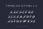 Froero Monogram font, Luxury Logo, a Script Font by Tanondesign (Thumbnail 4 of 4)