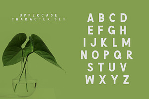 Green Natural Cute Font