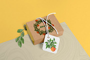 Watercolor citrus collection, a Food Illustration by Watercolor & sketches (Thumbnail 8 of 8)