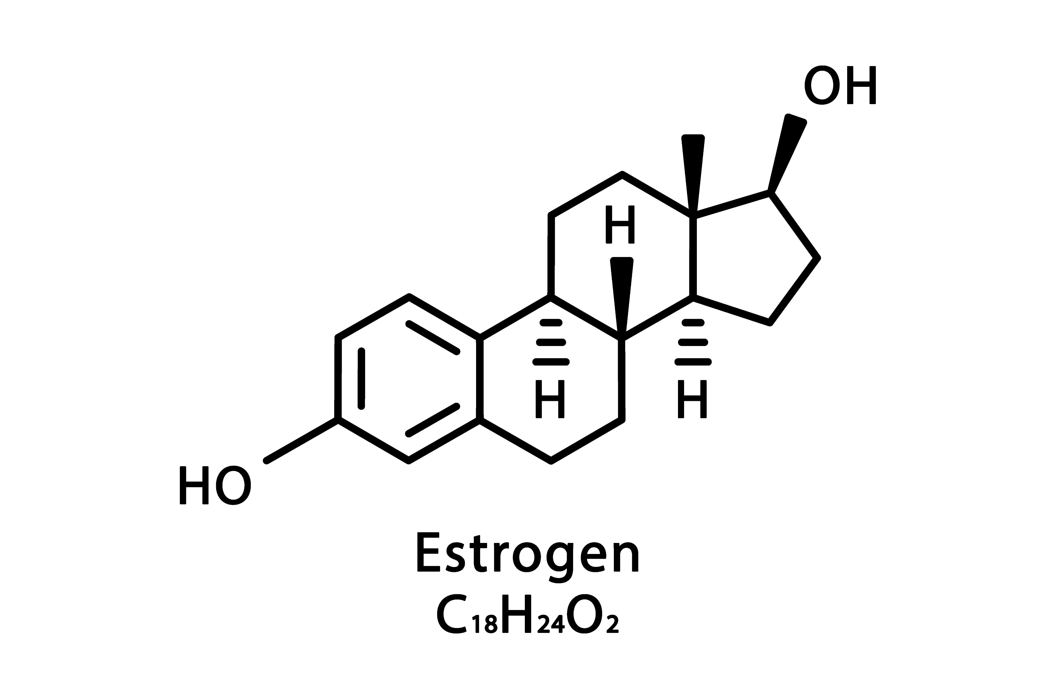 Estrogen molecular structure Education Illustrations Creative Market