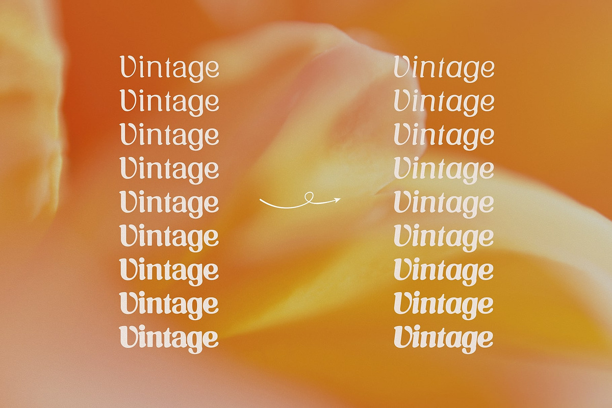 Vintage Oracle Typeface, a Serif Font by HipFonts (Photo 12 of 12)