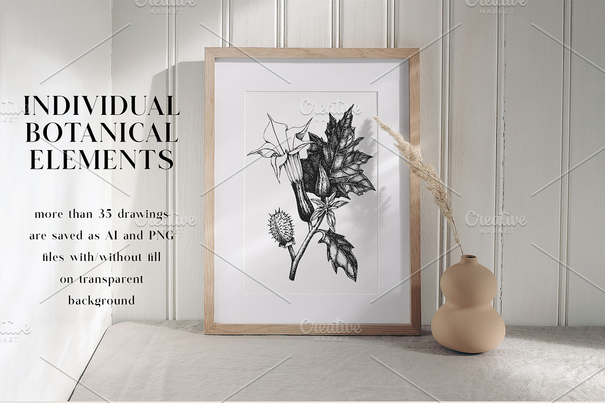 Medicinal Herbs Vector Bundle, a Healthcare Illustration by Yevheniia (Photo 6 of 8)