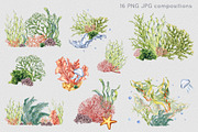 Sea plants watercolor collection, an Illustration by Kate Lanbina (Thumbnail 4 of 18)