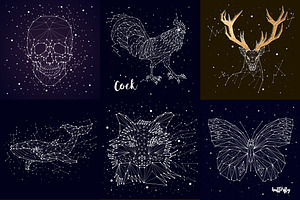 Constellation Of Animals