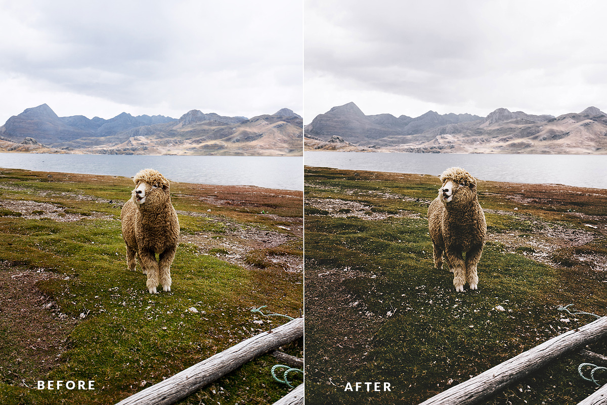 Oneday: Analog & Aesthetic Lr preset preview 8