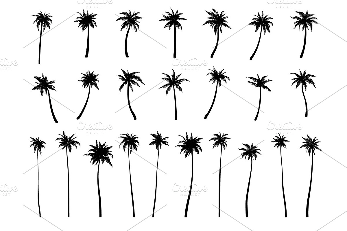 Large set of palm trees. 52 designs., a Decorative Illustration by VetaDesign (Photo 4 of 4)