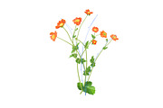 Vector object brushes. Geum., a Brush Add-On by Peolla (Thumbnail 3 of 14)