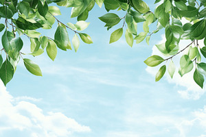 Blue sky and white clouds with green, a Photo by Dvoevnore photos