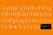 Meckora, a Serif Font by zaaintype (Thumbnail 8 of 10)