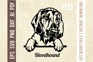 Bloodhound SVG - Peeking Dog