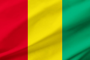 Guinea flag background with waving fabric texture