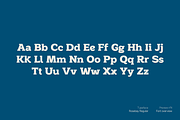 Rosebay Slab, a Slab Serif Font by Unio Designs (Thumbnail 4 of 7)