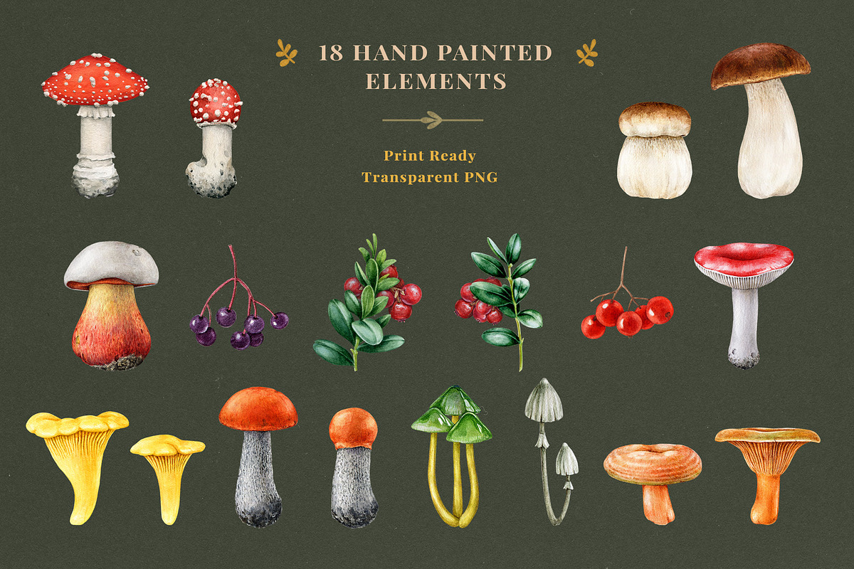 Fall Mushrooms Watercolor Clipart, a Seasonal Illustration by AnitaPol (Photo 5 of 20)