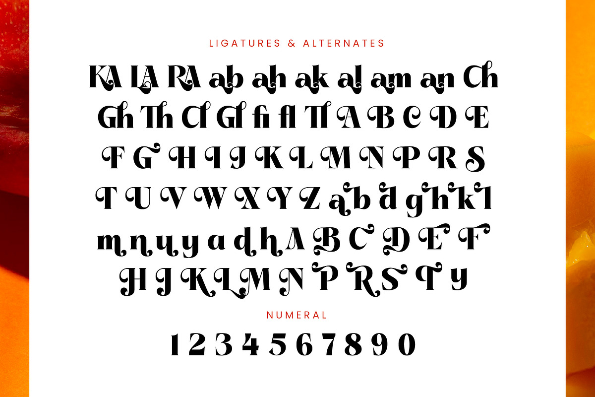 Pramid Mango Modern Display Serif, a Serif Font by timelesstype.co (Photo 18 of 20)