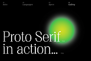 Proto Serif Regular, a Serif Font by Bukva™ Type Foundry (Thumbnail 8 of 13)