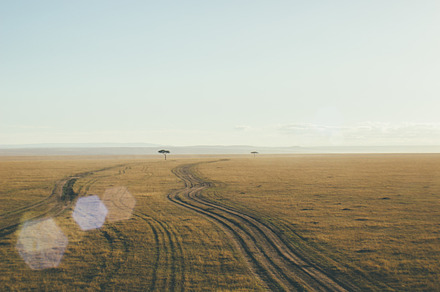 Kenya landscape featuring landscape, kenya, and tree