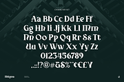 Shioma, a Serif Font by Aluyeah Studio (Thumbnail 12 of 15)