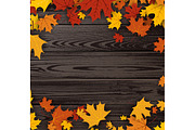 Wooden texture set with maple leaves, a Decorative Illustration by Vjom (Thumbnail 6 of 9)